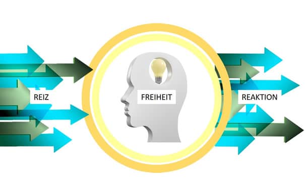 reiz reaktions muster: reiz freiheit reaktion